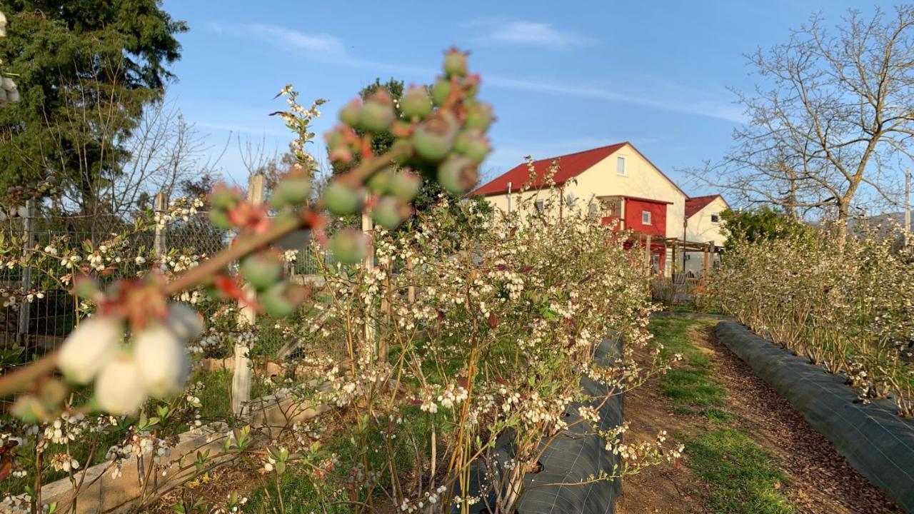 Apartamento Quinta Vale Salgueiro Seia Exterior foto